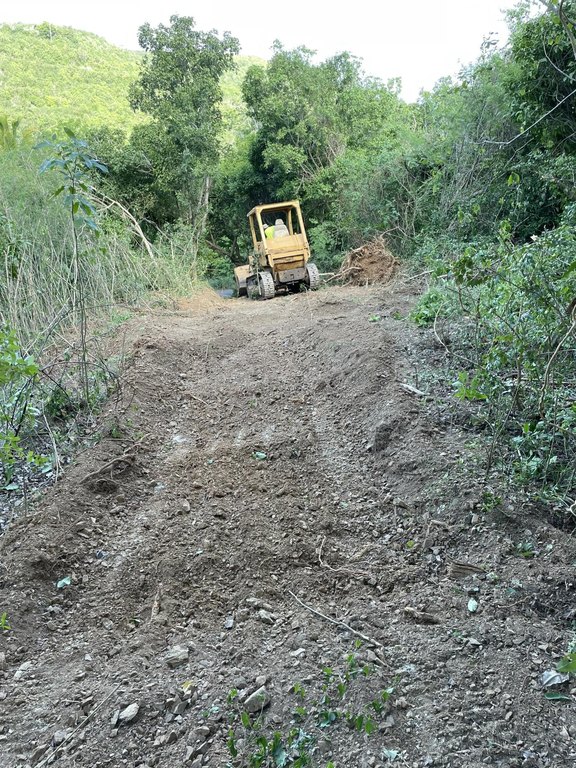 Picture 7