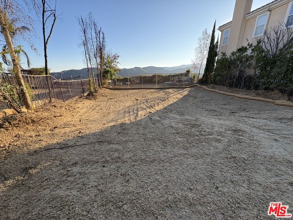Picture 6