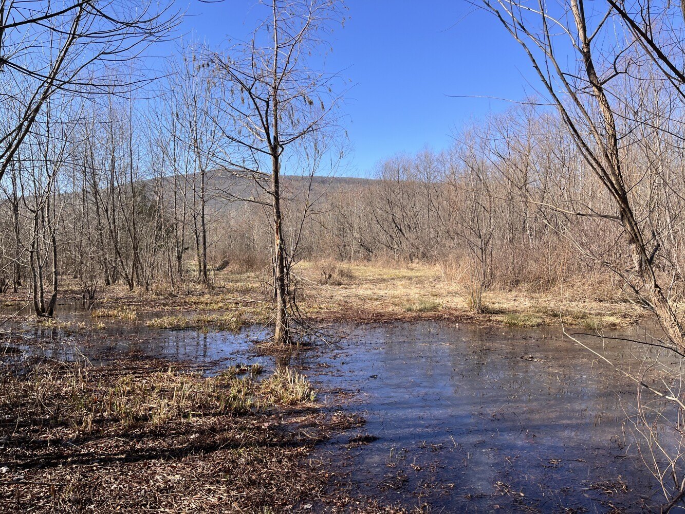 Swaim, AL Recreational Land