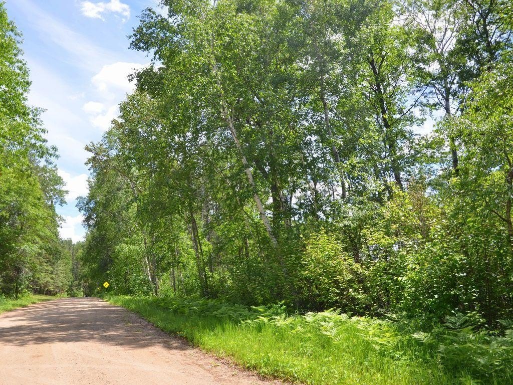 Picture 15