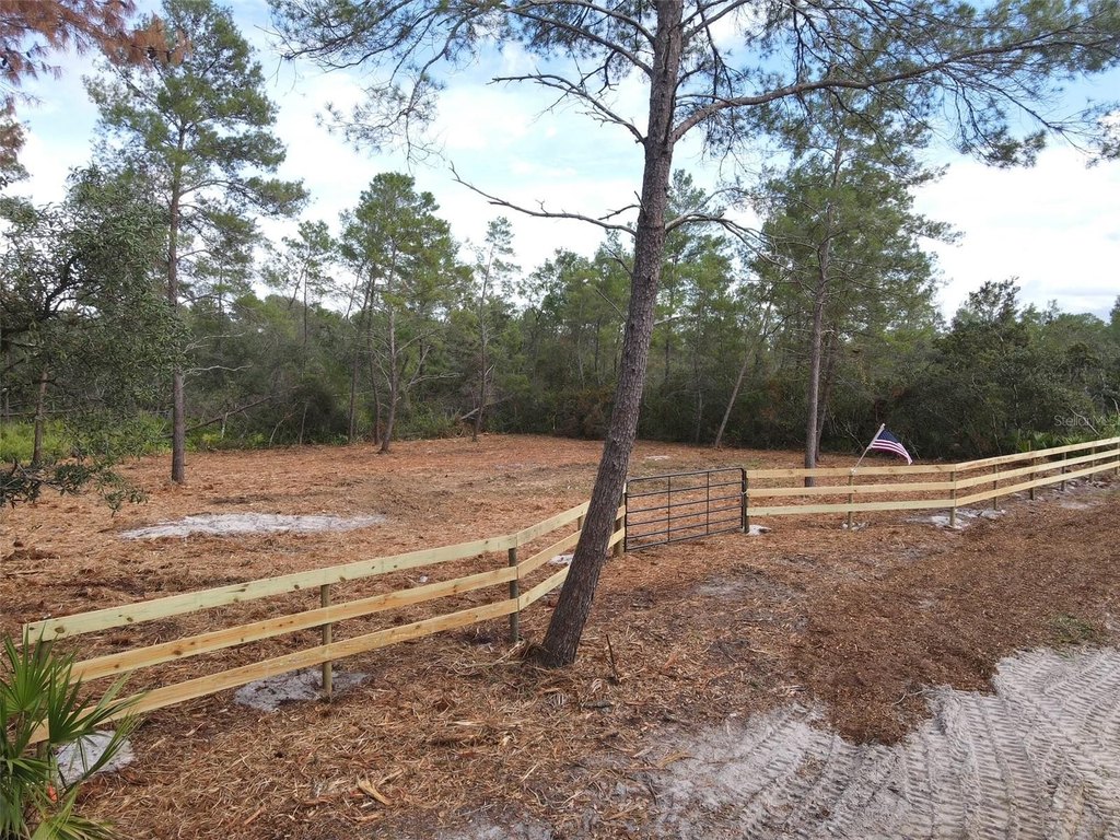 Picture 3