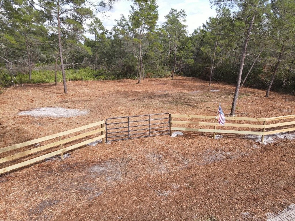 Picture 4