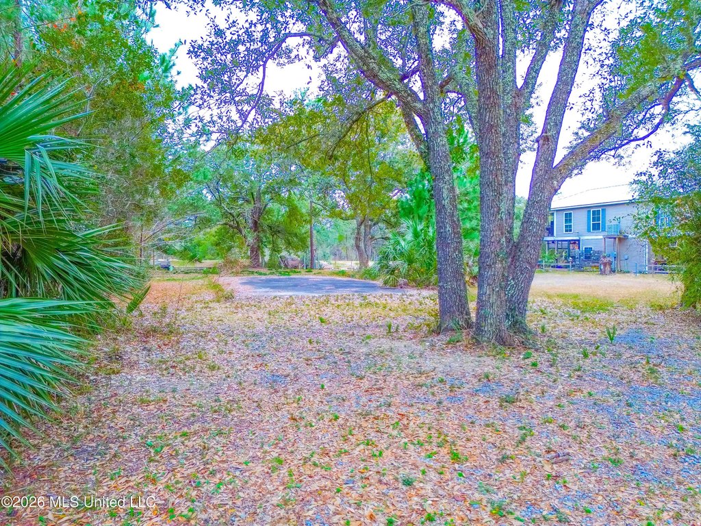Picture 12