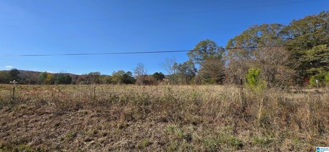 LAND - OHATCHEE, AL