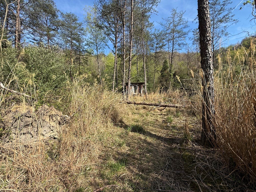 Picture 5