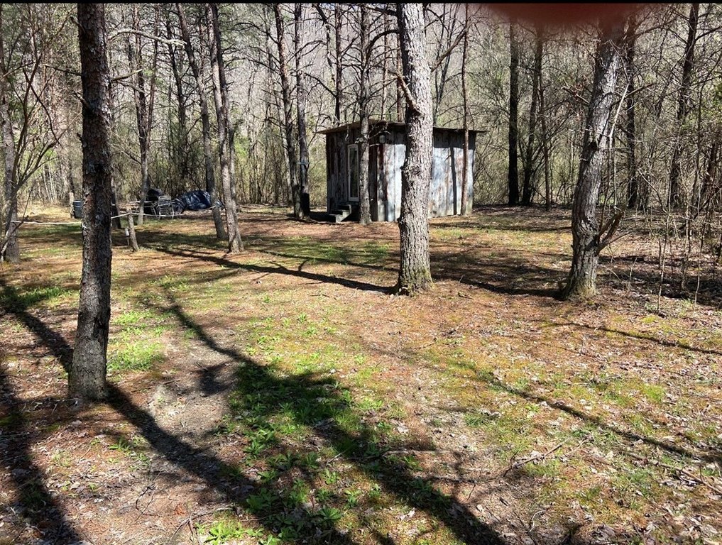 Picture 16