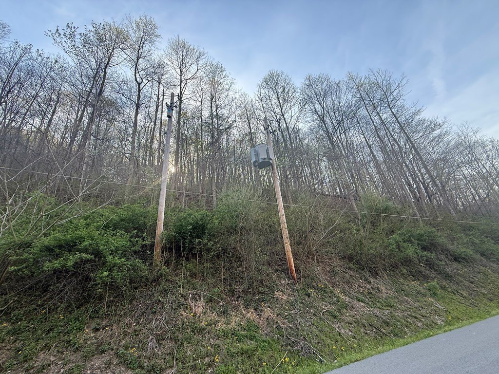 Picture 12