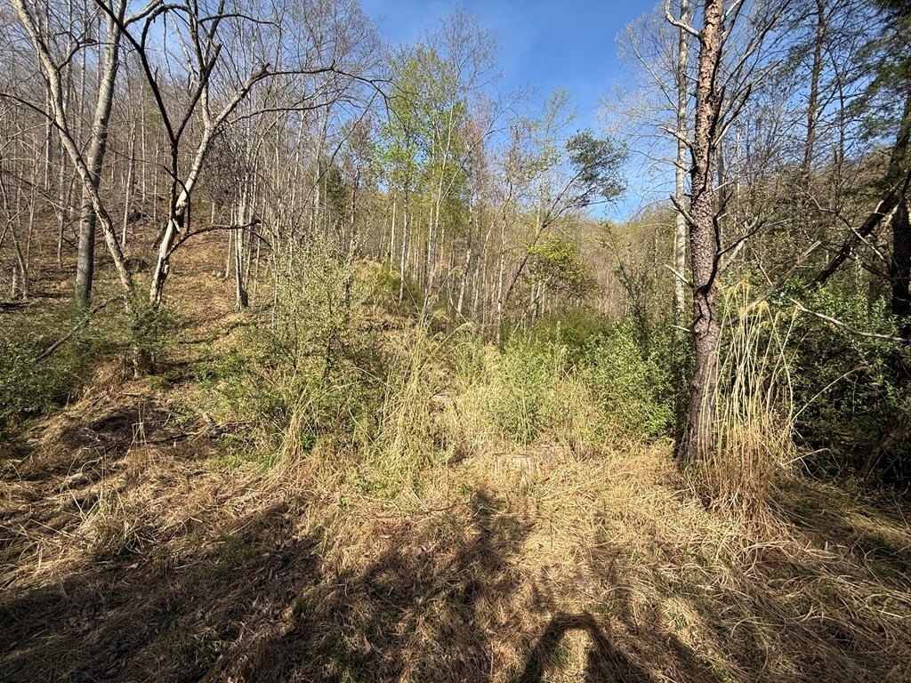Picture 4