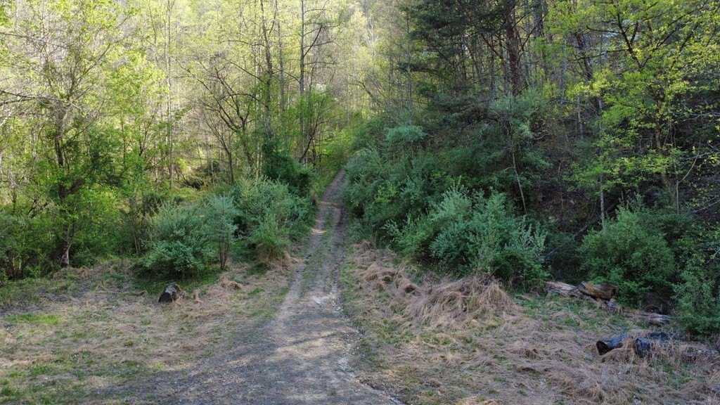 Picture 18