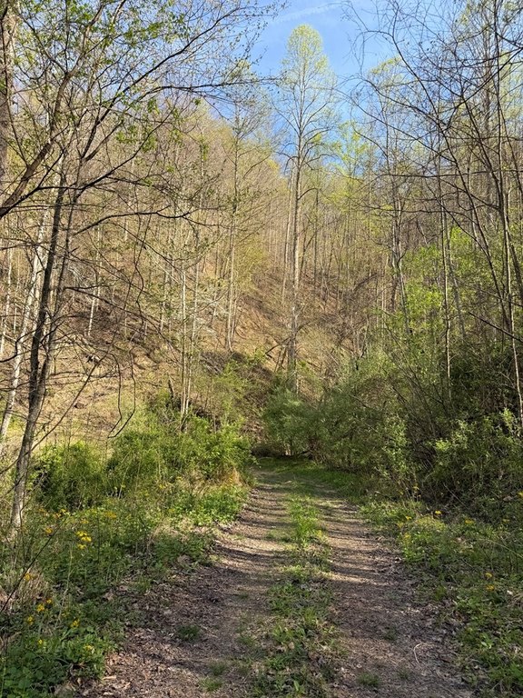 Picture 8