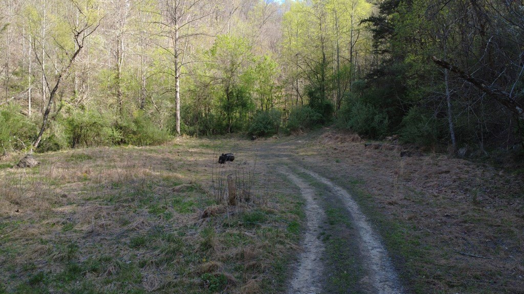 Picture 10