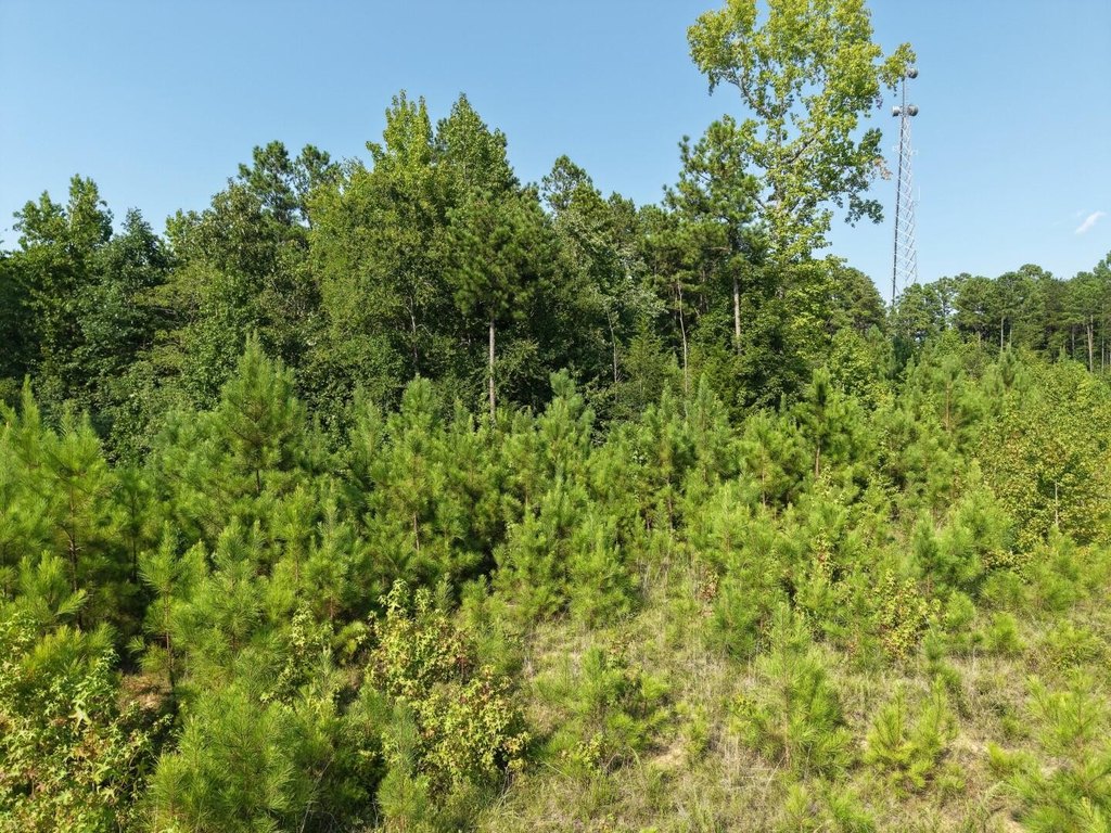 Picture 20