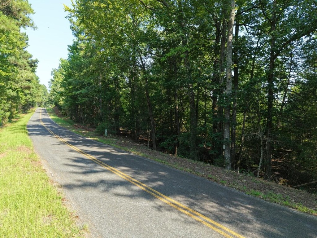 Picture 21