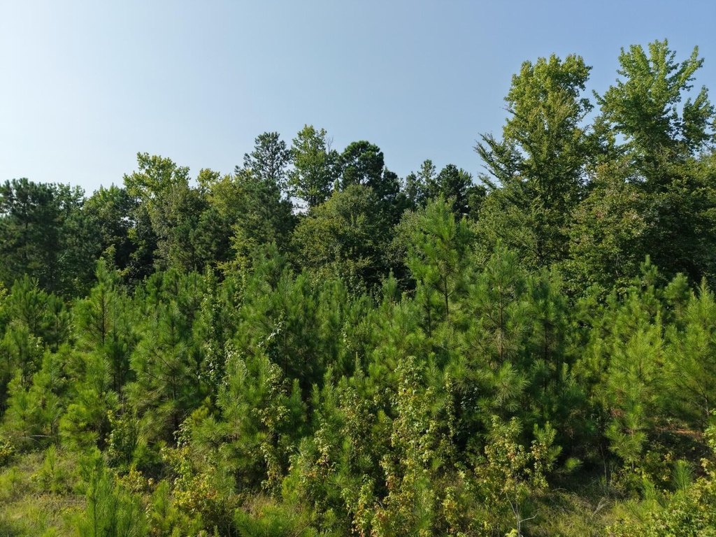 Picture 19