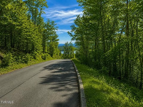 Legacy Bay Wooded Acreage