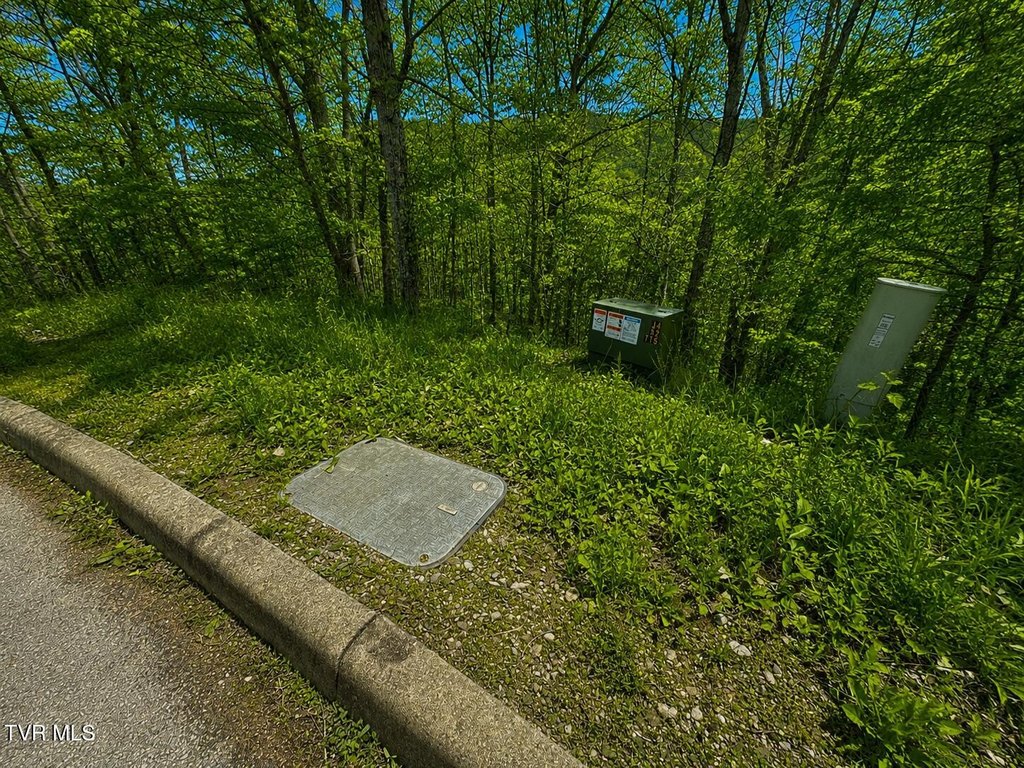 Picture 4