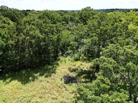 Sulphur Springs Wooded Acreage