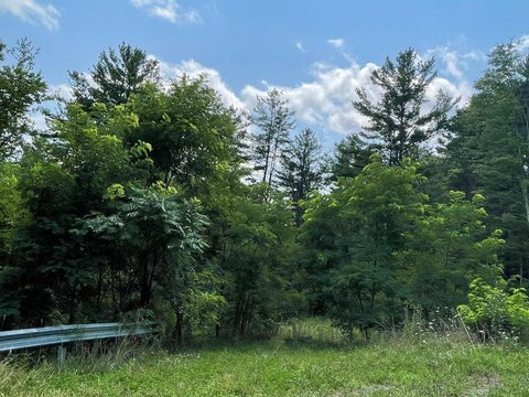 Residential Land in Hemlock Hills