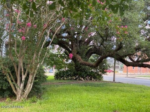 New Iberia Commercial Lot