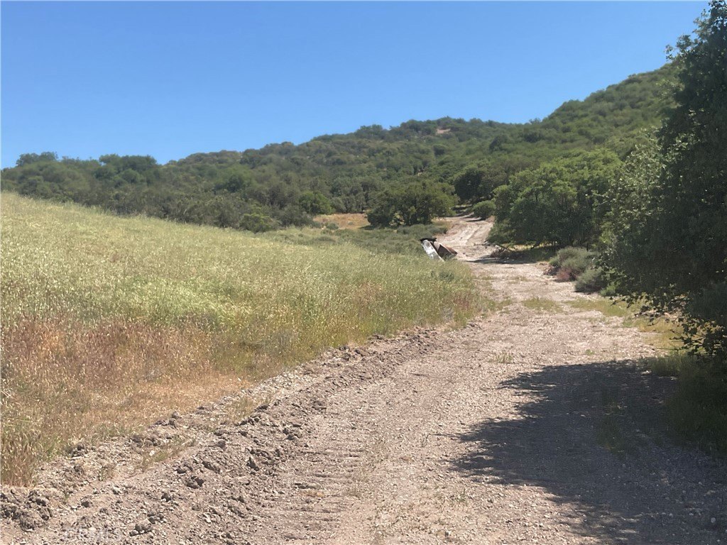 Picture 25