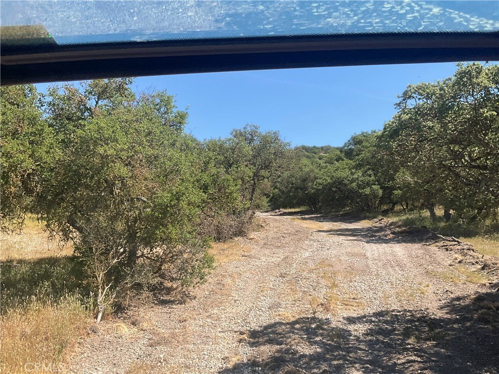 Picture 23