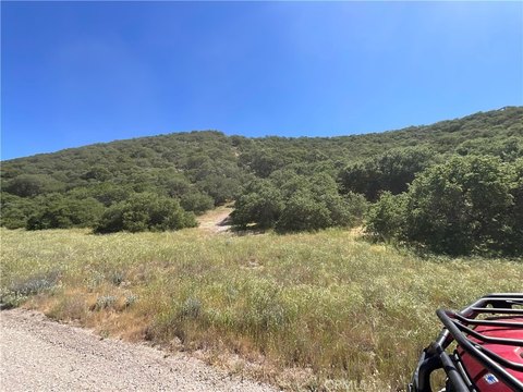 161 Acres in Lockwood Valley