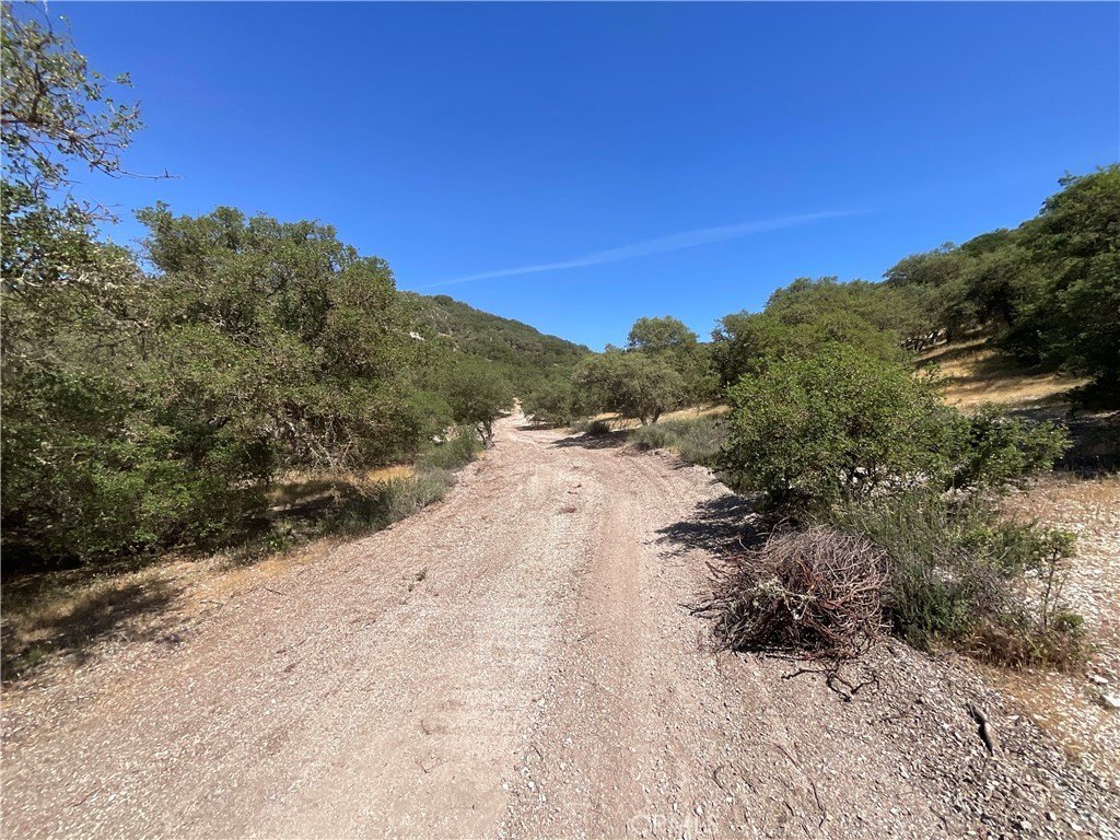 Picture 20