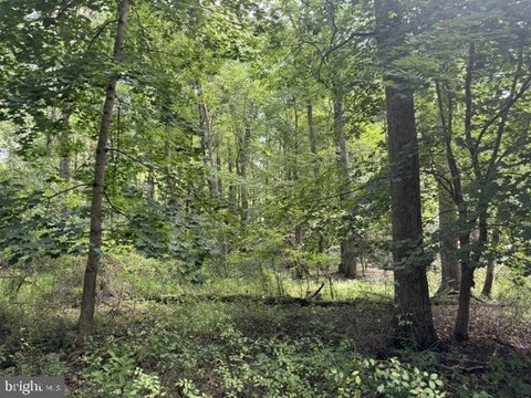 Land, LEBANON, PA