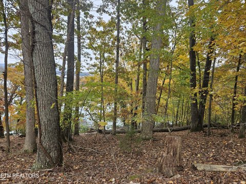 Lakefront Lot with Wide Views