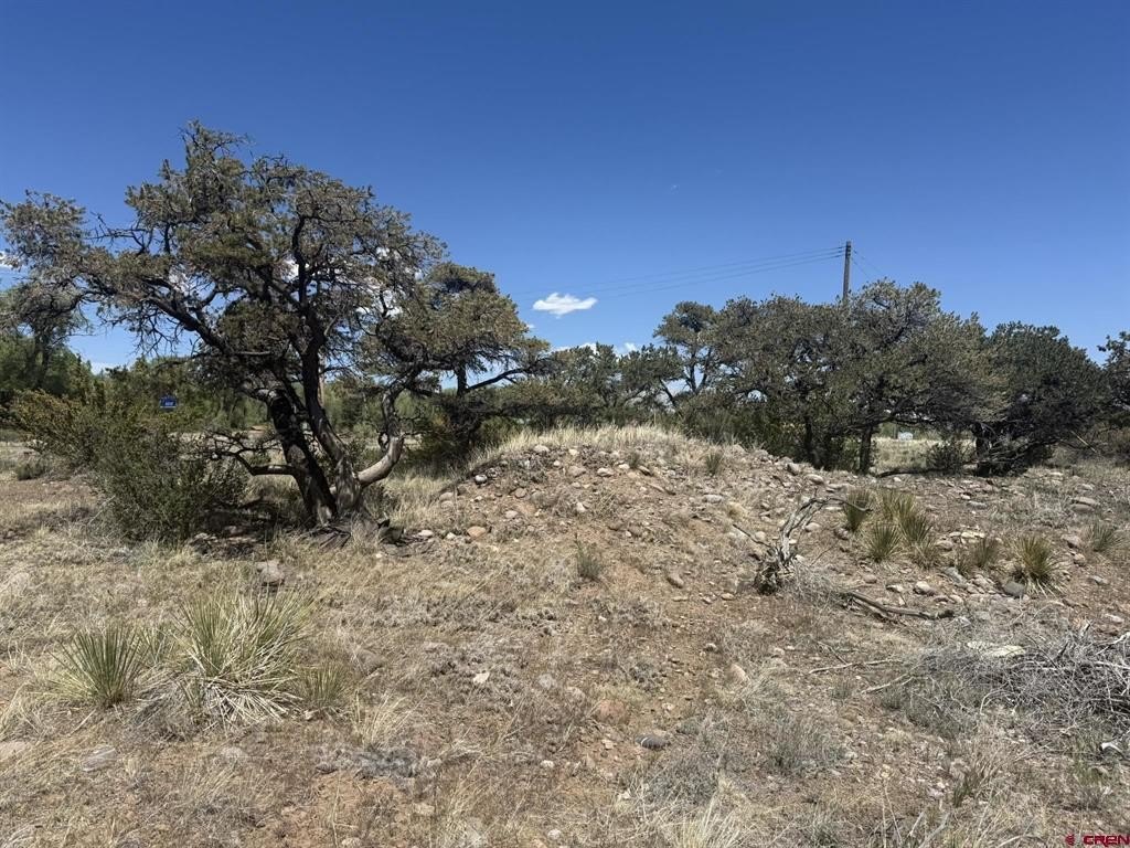 Land in South Fork, CO