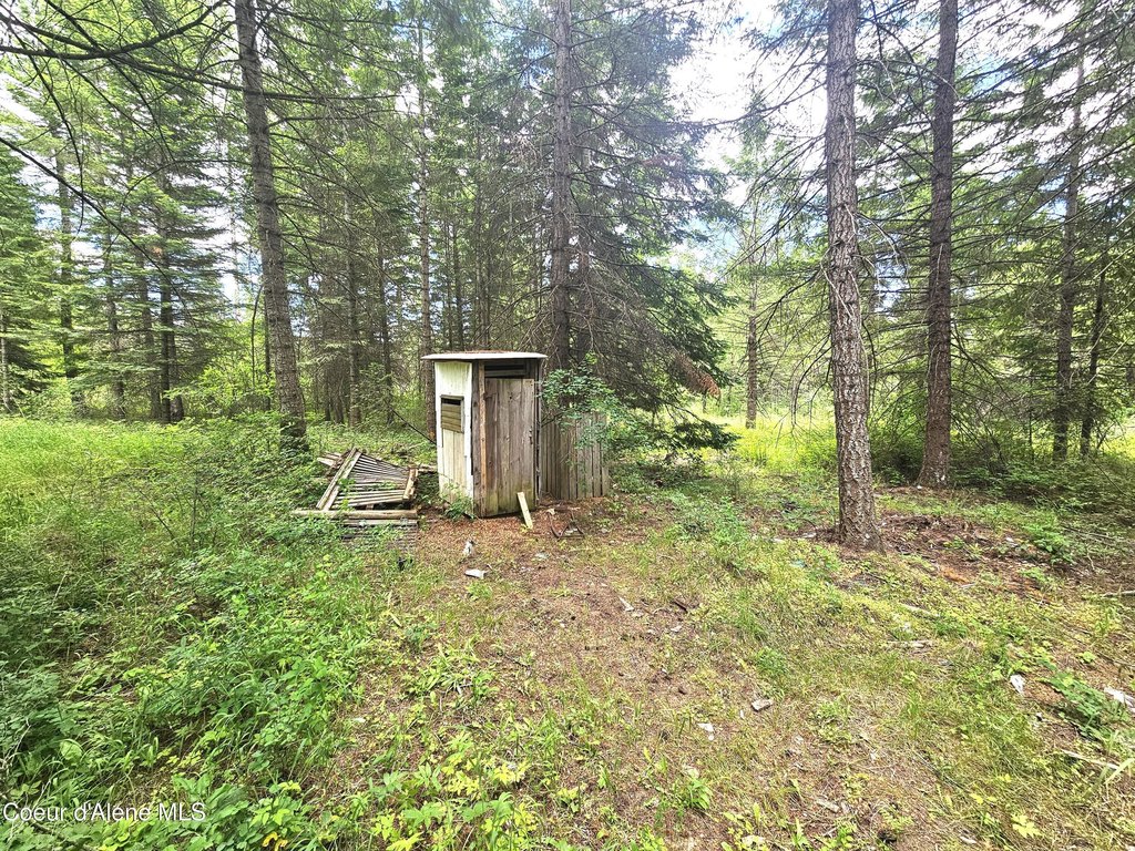 Picture 8
