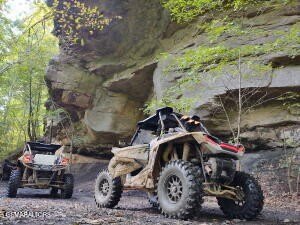 Picture 30