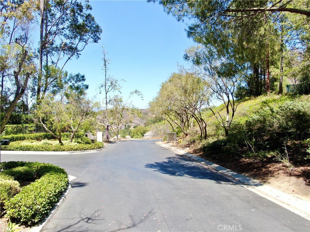 Picture 38