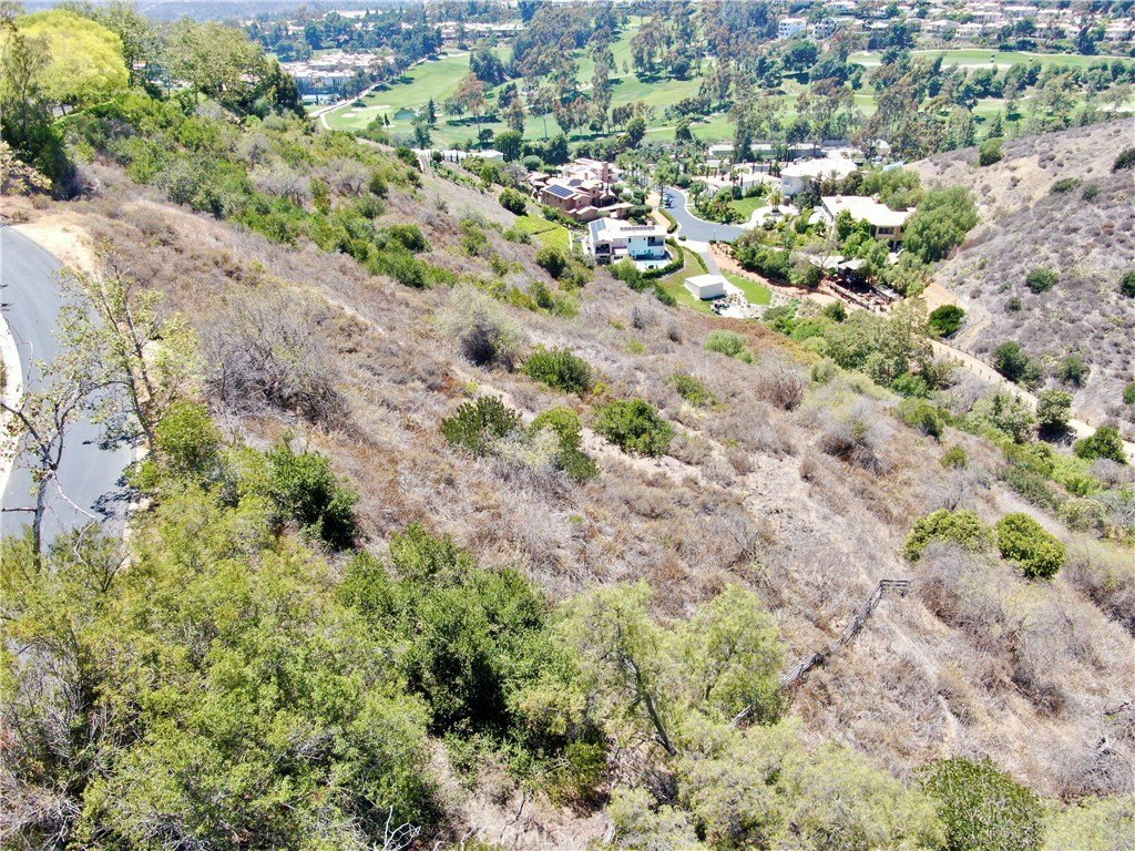 Picture 42