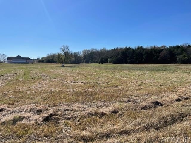 Picture 35