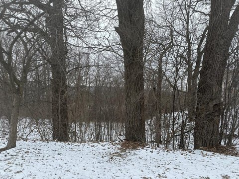 Walkout Home Lot