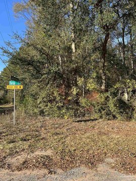 Large Cantonment Land Parcel