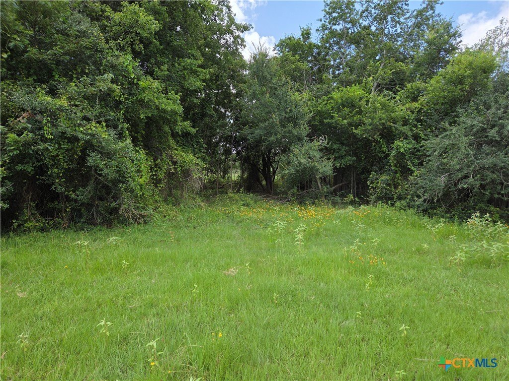 Picture 3