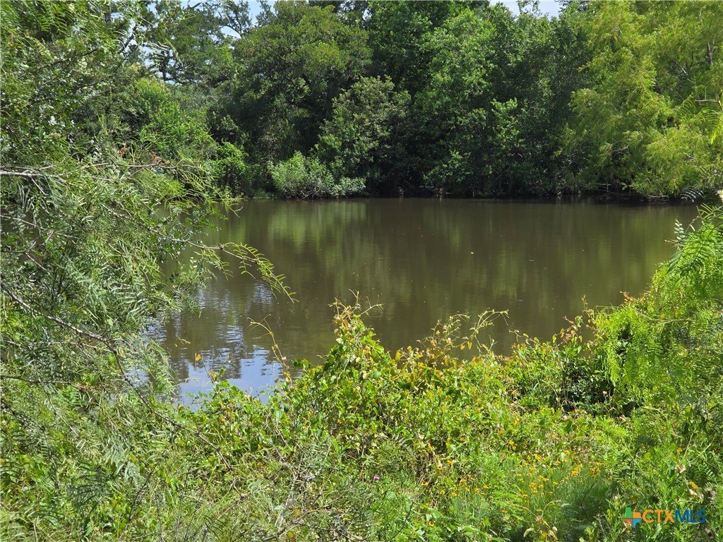 Picture 6
