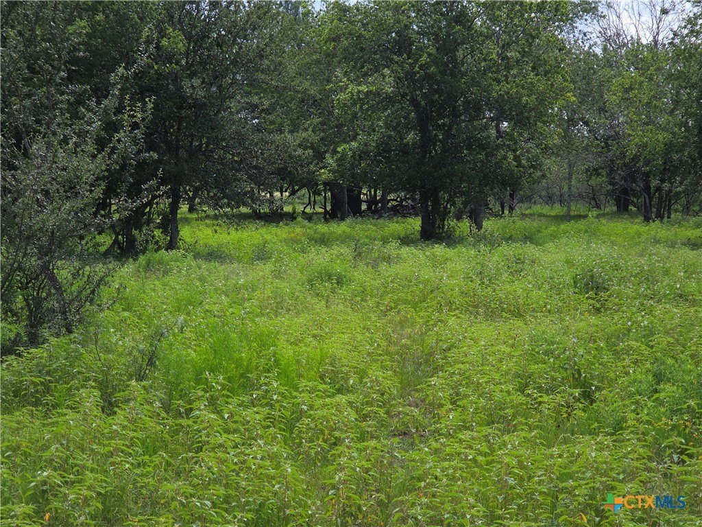 Picture 7