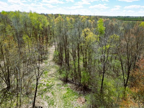 96 Acres Hunting and Recreational Land