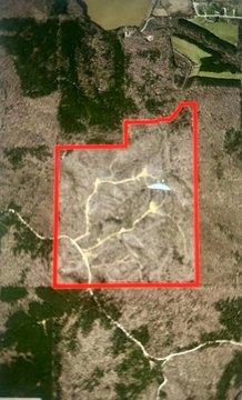 Hunting Land Tract