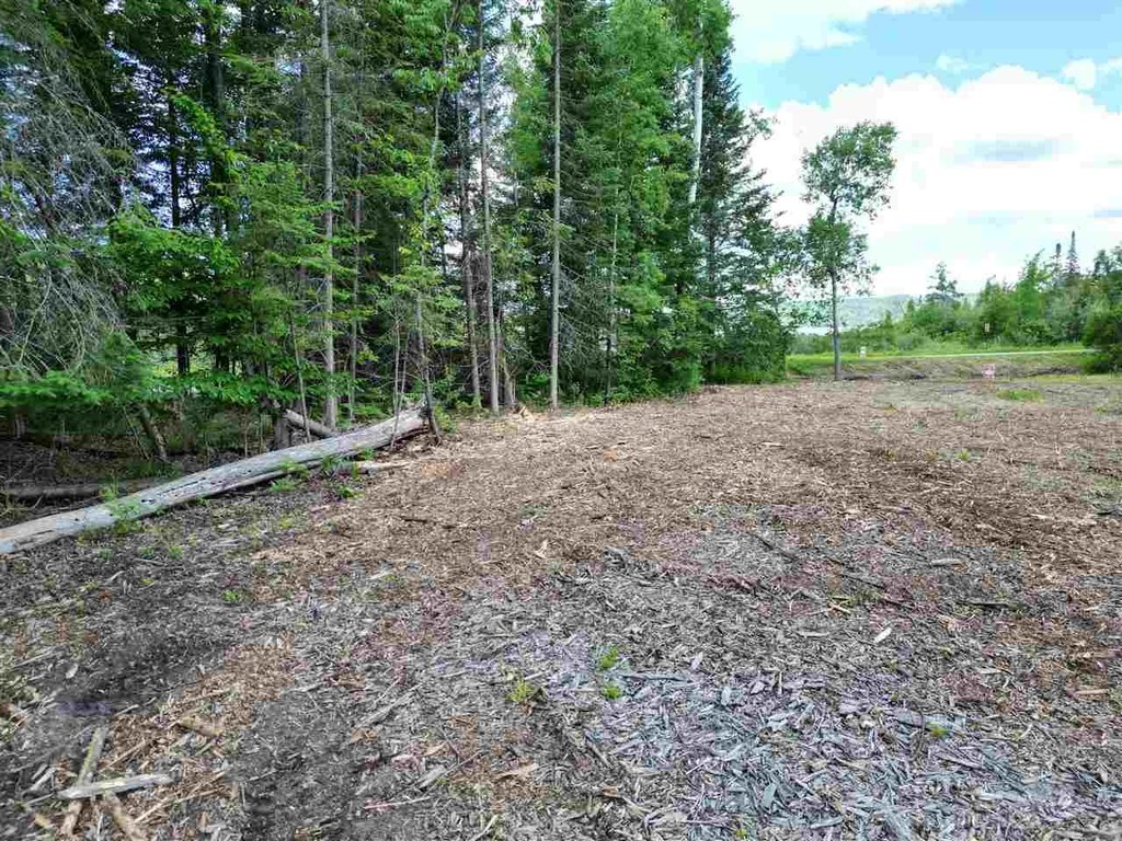 Picture 42