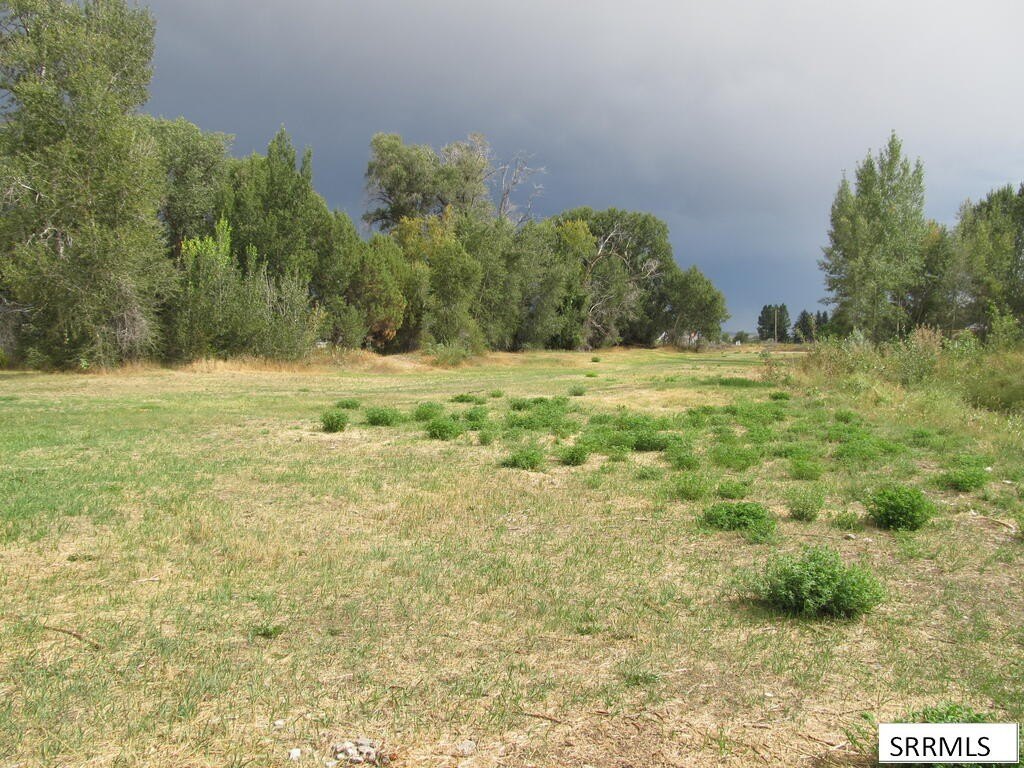 Picture 5