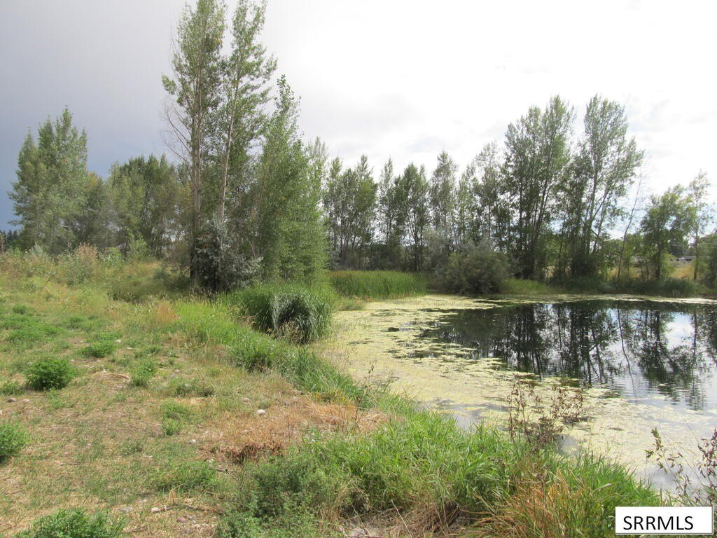 Picture 4