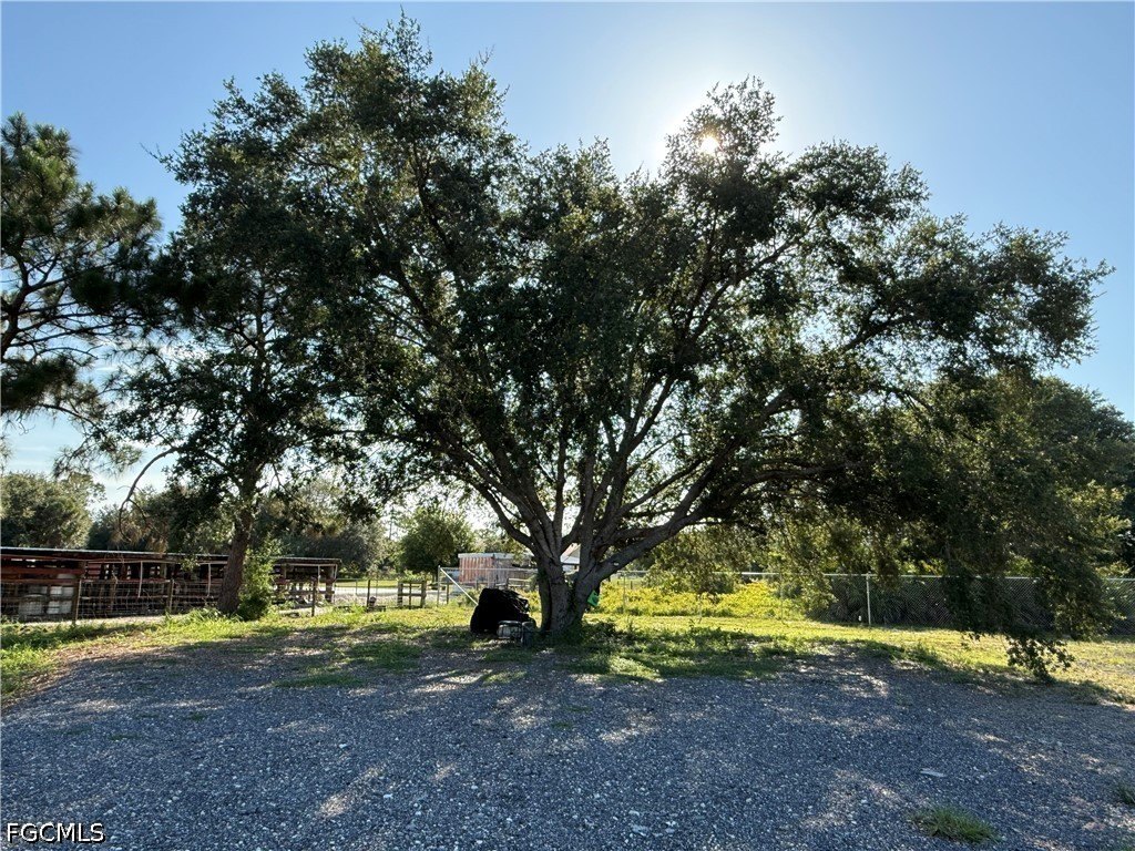 Picture 16
