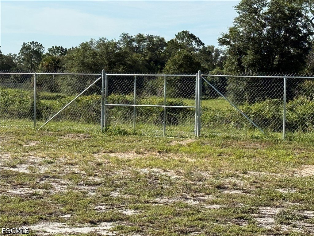 Picture 15