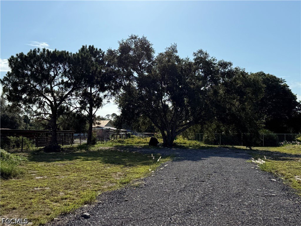 Picture 14