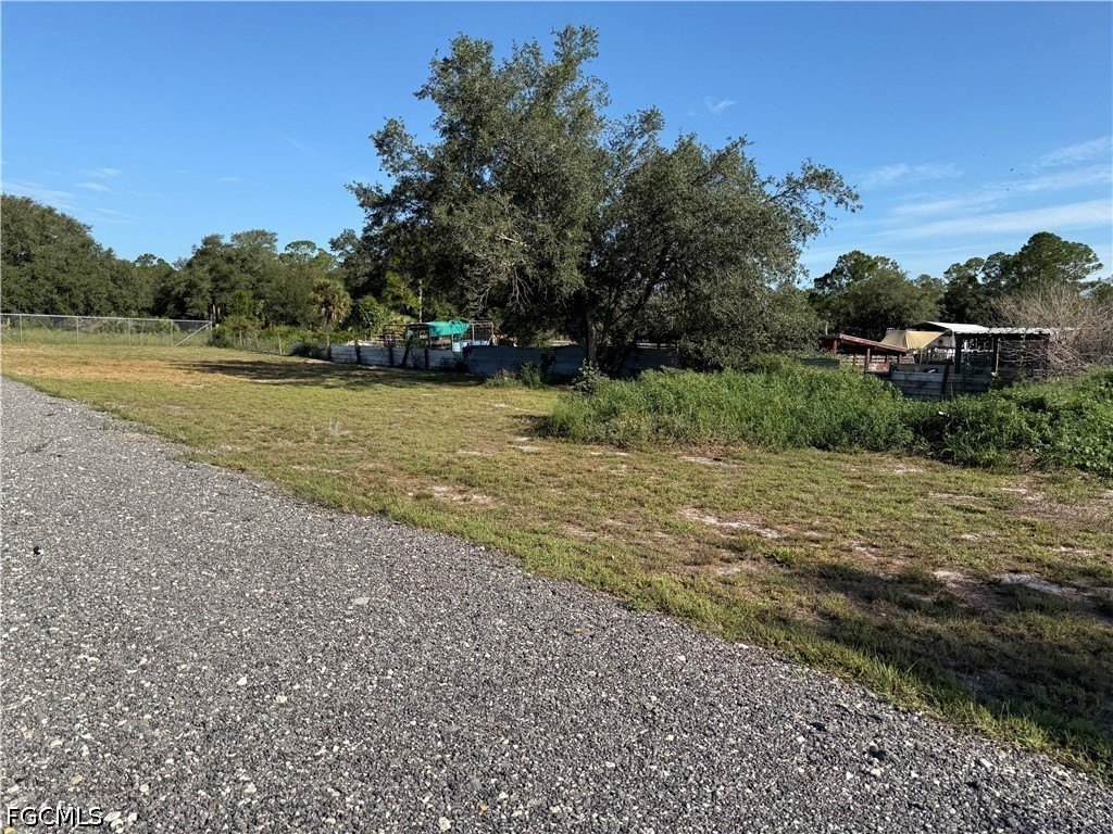 Picture 19