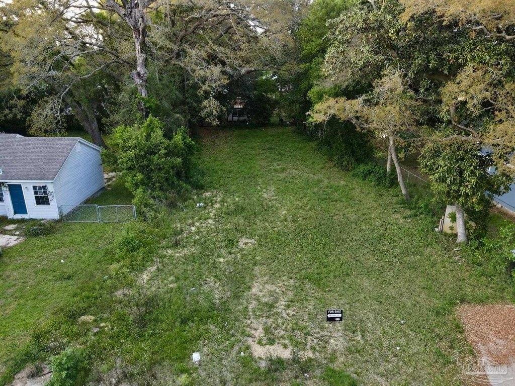 Picture 4